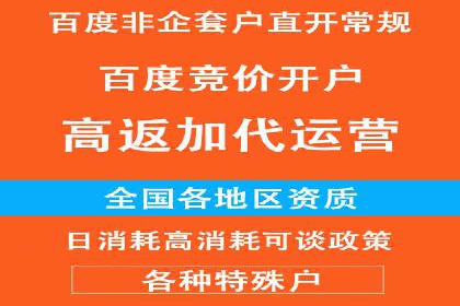 SEO与百度广告的结合：双管齐下的推广案例